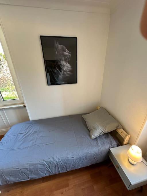 Magnifique Appartement F3. 4 A 6 Personnes Lutterbach Luaran gambar
