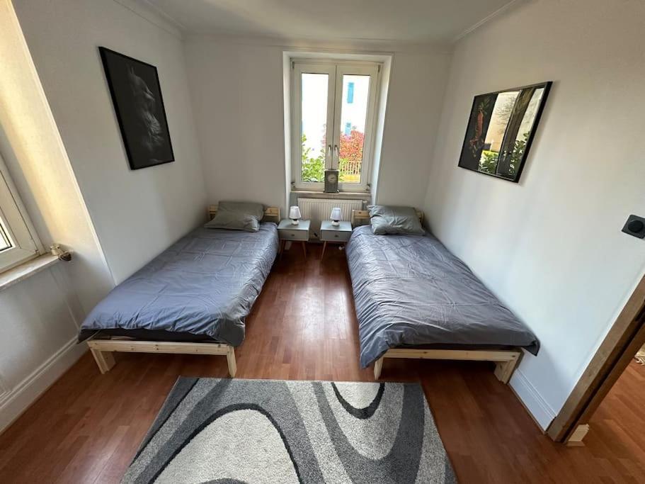Magnifique Appartement F3. 4 A 6 Personnes Lutterbach Luaran gambar