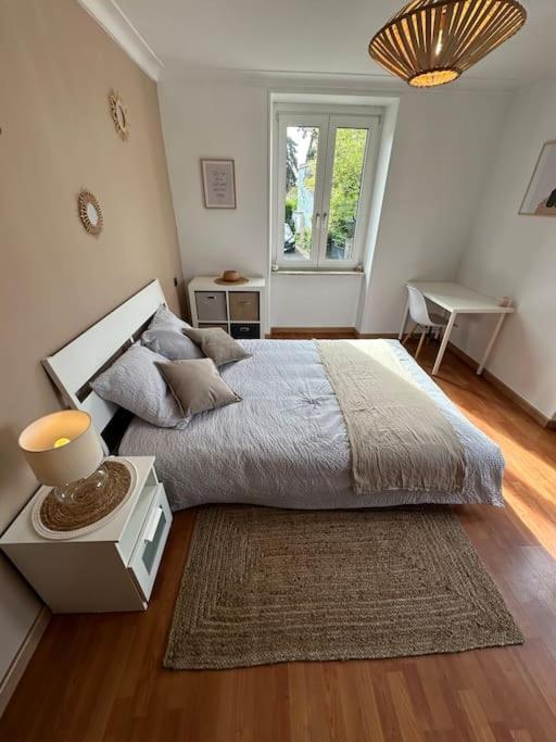 Magnifique Appartement F3. 4 A 6 Personnes Lutterbach Luaran gambar
