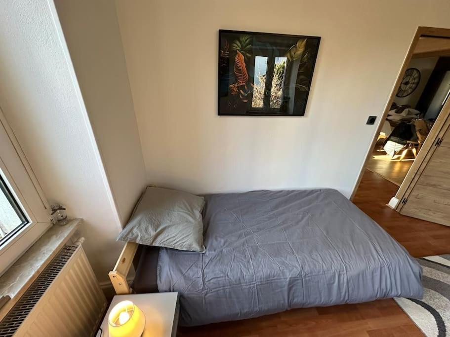 Magnifique Appartement F3. 4 A 6 Personnes Lutterbach Luaran gambar